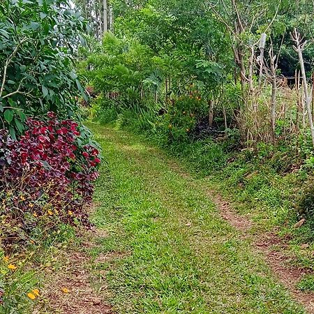 Farmer Homestay Yercaud Exterior foto